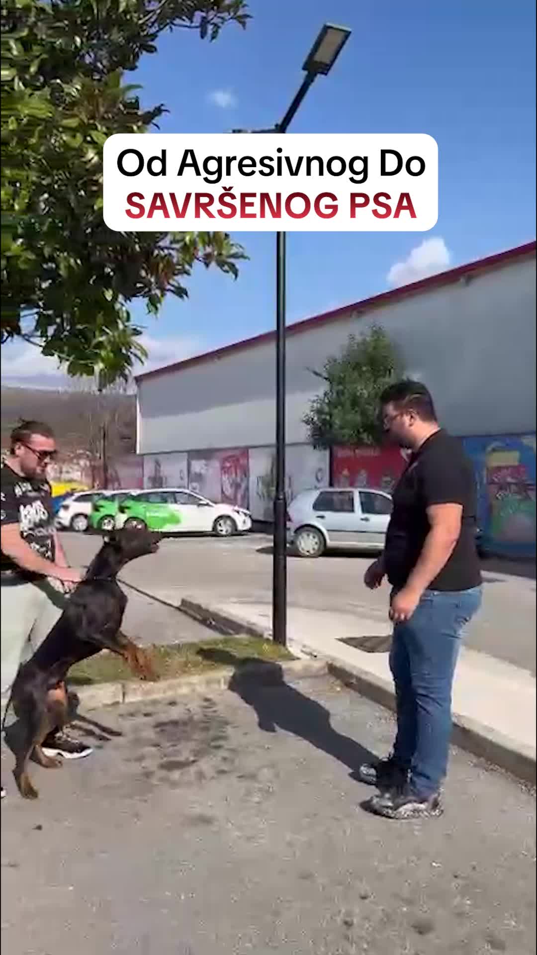@superdog.akademija