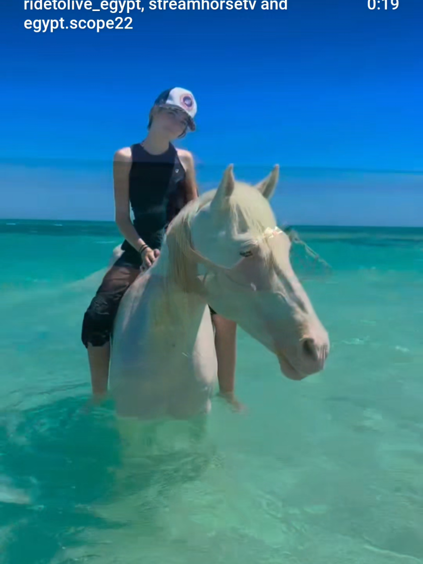 @streamhorse
