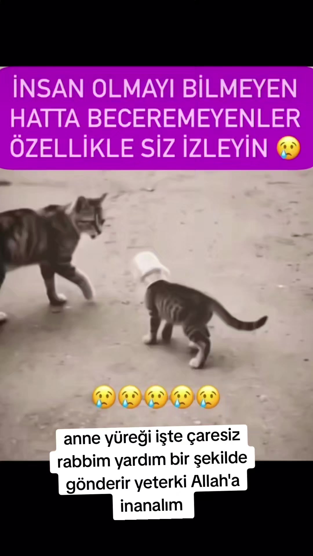 @gamzeli kızı 😊 minnoşlari