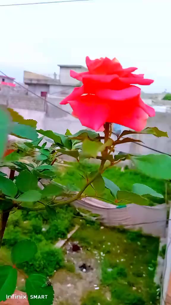 @Malik zuki58