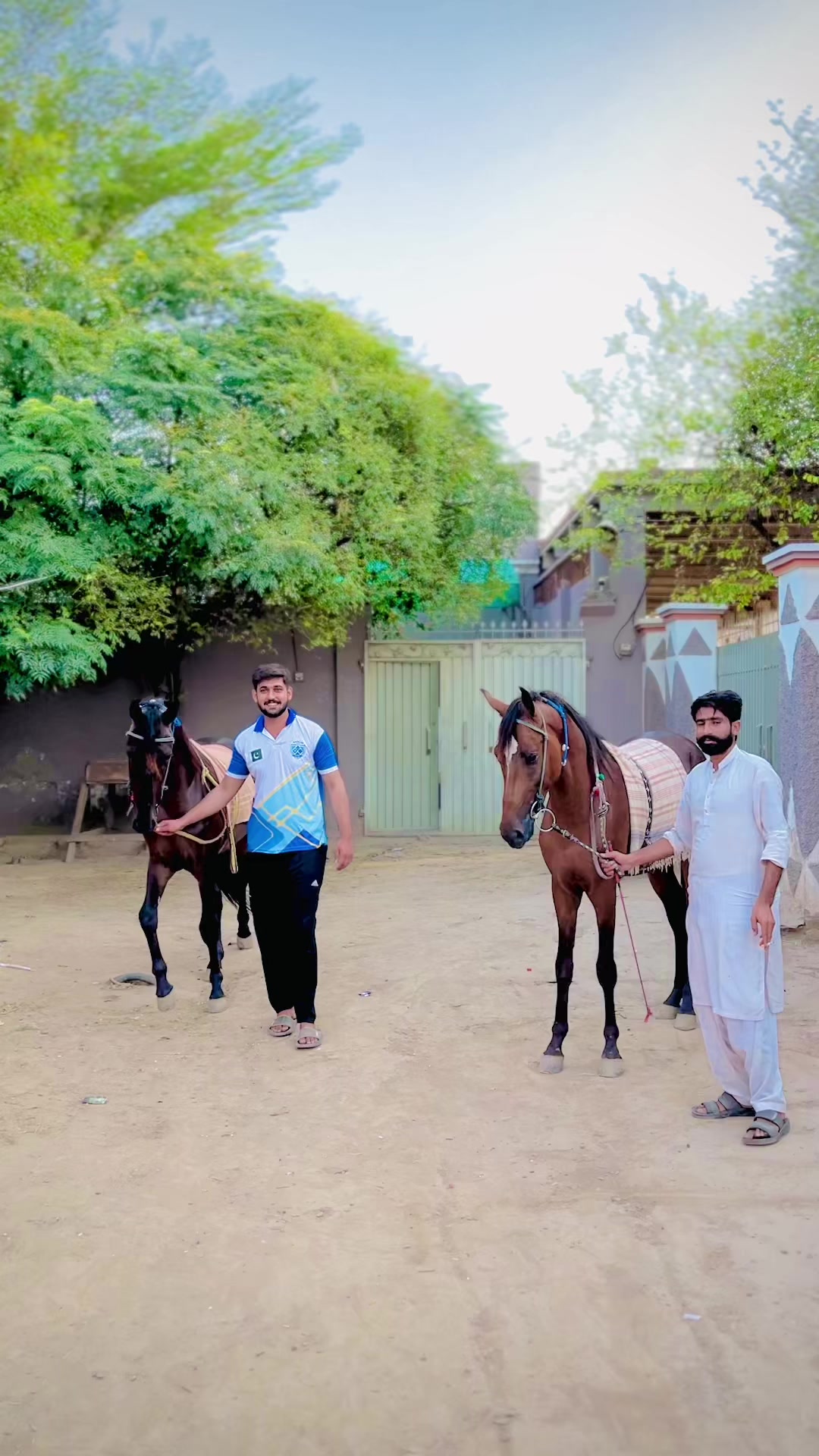 @shahwargujjar0