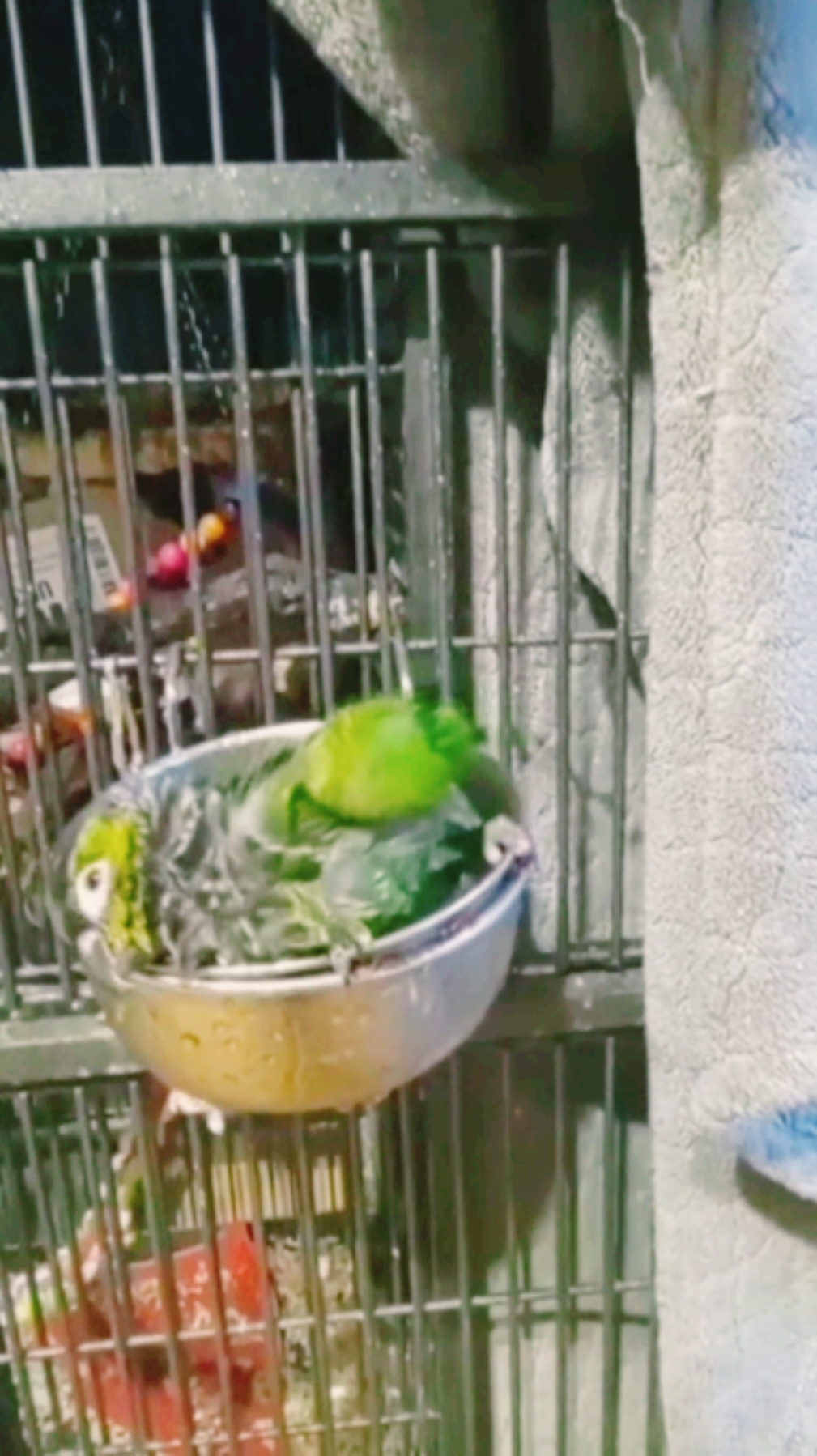 @QbertBird🦜👀
