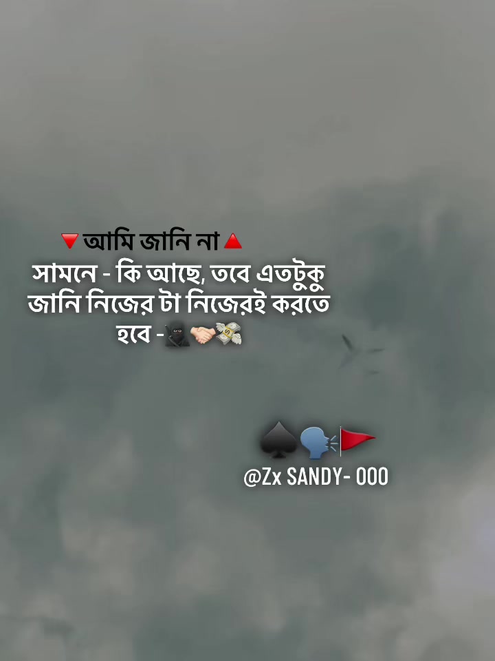 @乙x⚡️𝙎 𝘼 𝙉 𝘿 𝙔- 000