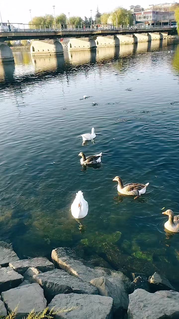 @Reyhan &ccedil;aKır🥀