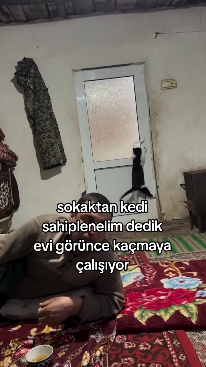 @rolland