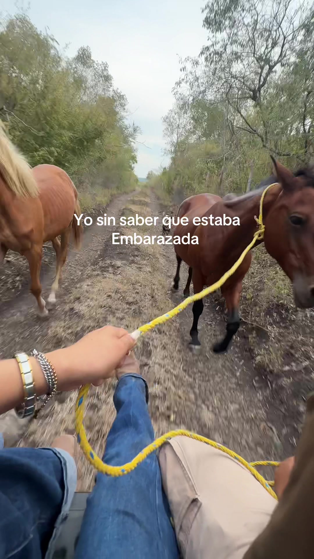 @Sof&iacute;a Acu&ntilde;a
