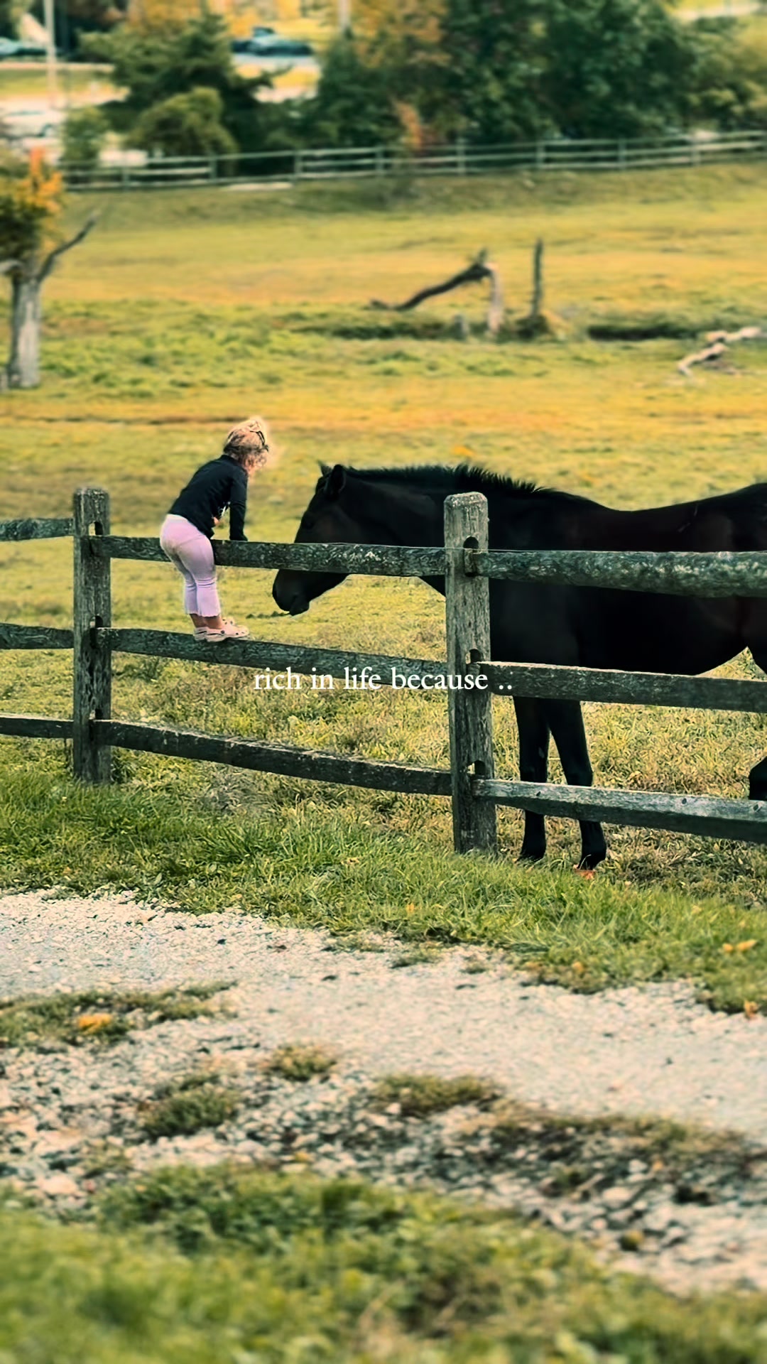 @Maria💜| Equestrian🦄