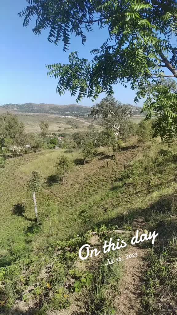 @Rindramx3
