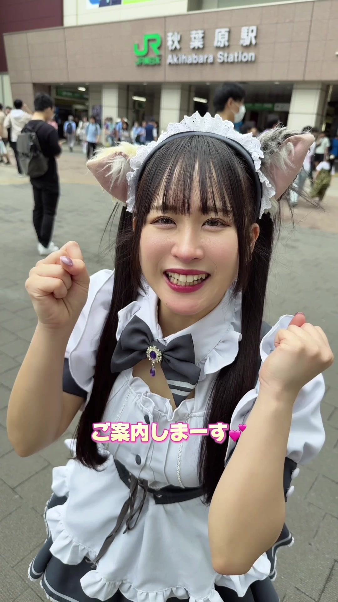 @メイドカフェ アキバ絶対領域