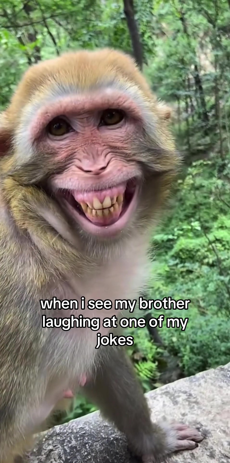 @imlilkiwi_