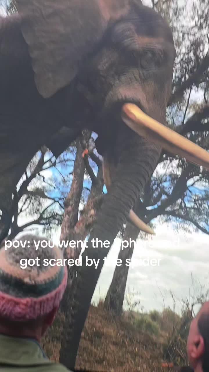 @Alissa Raley