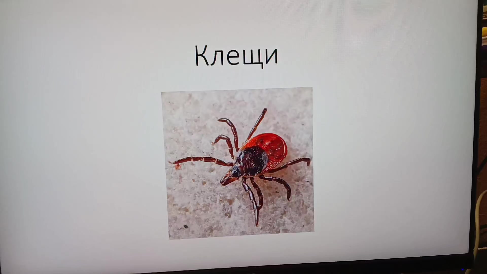 @тгк nasral_v_vedro