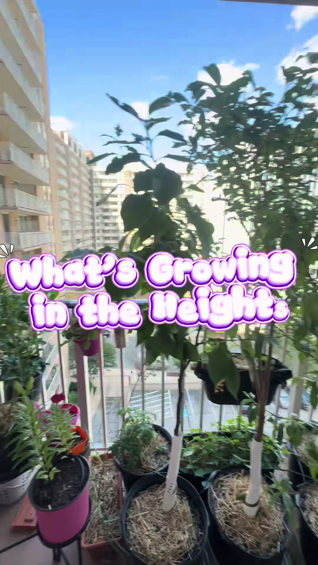 @Harvesting Heights | JoNise