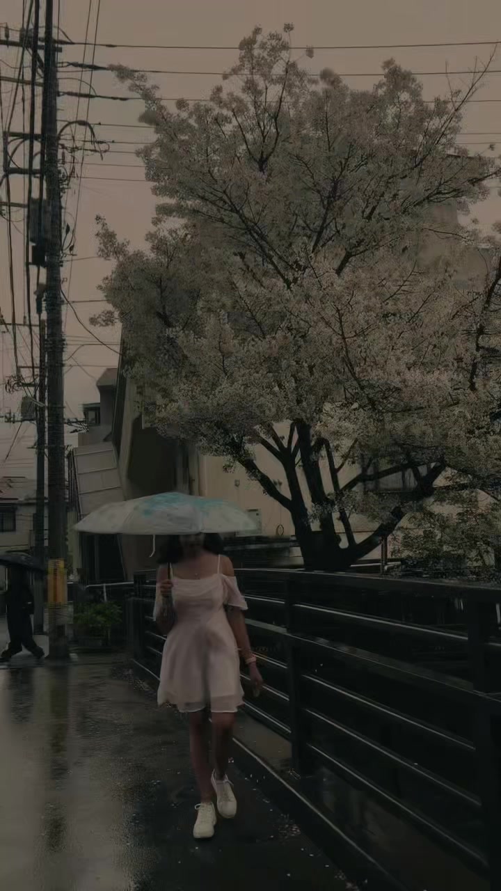 @💫🕊