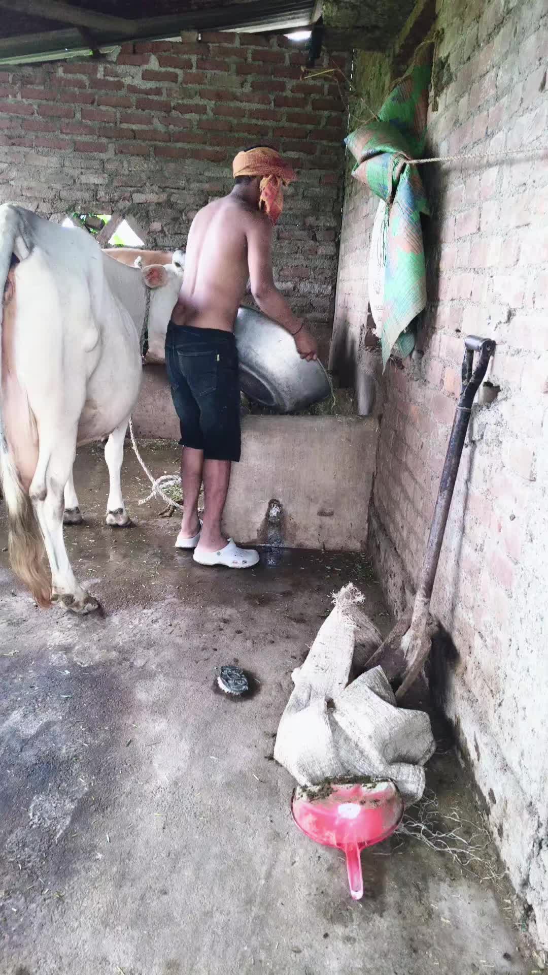 @NA. B. Bu