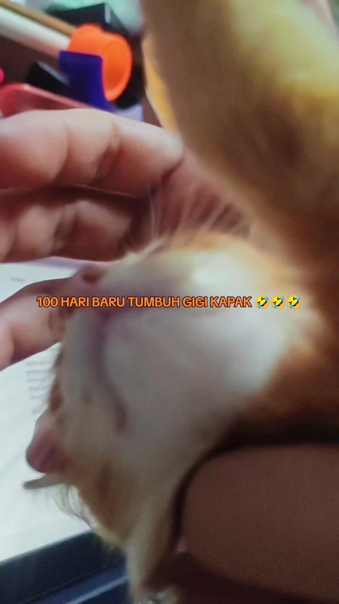 @𝙌𝙞𝙪