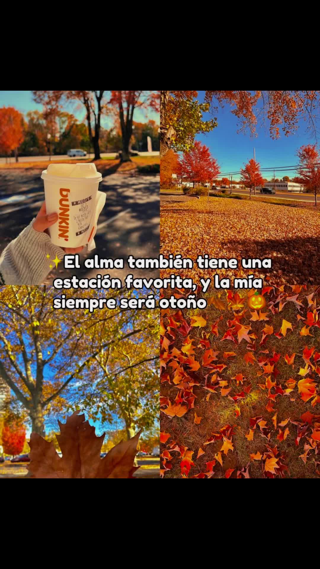 @🌻Soy Lau🌻