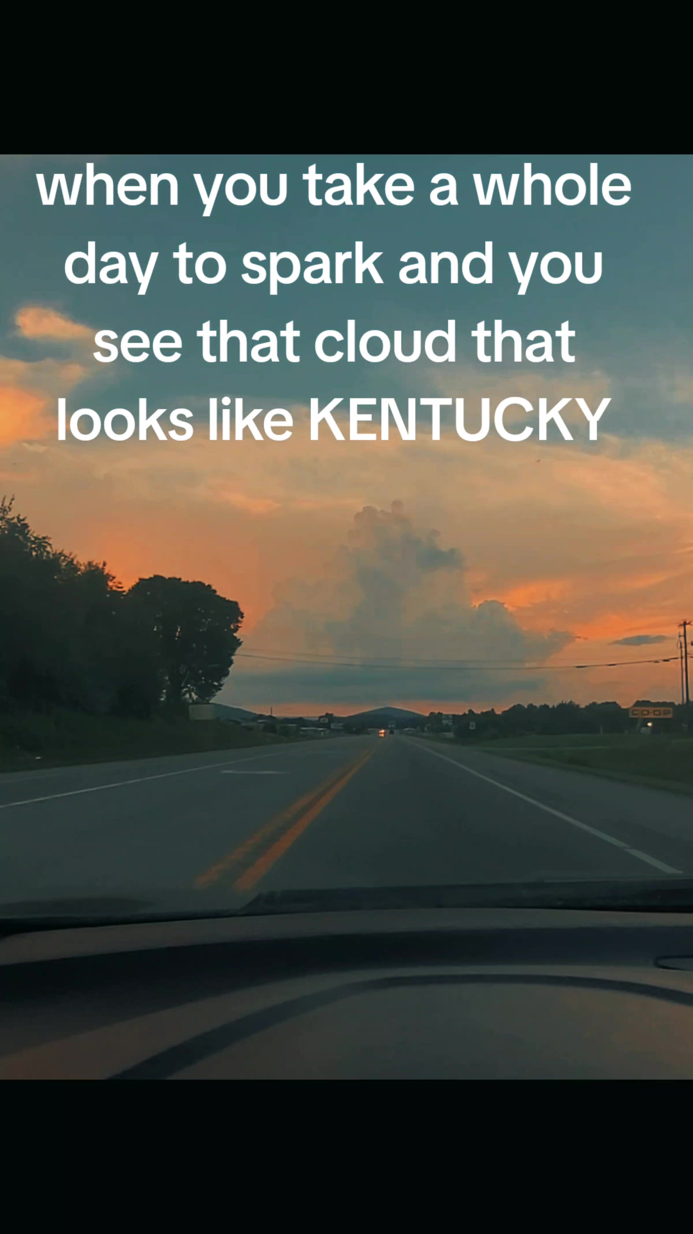 @beautiful_disaster19940