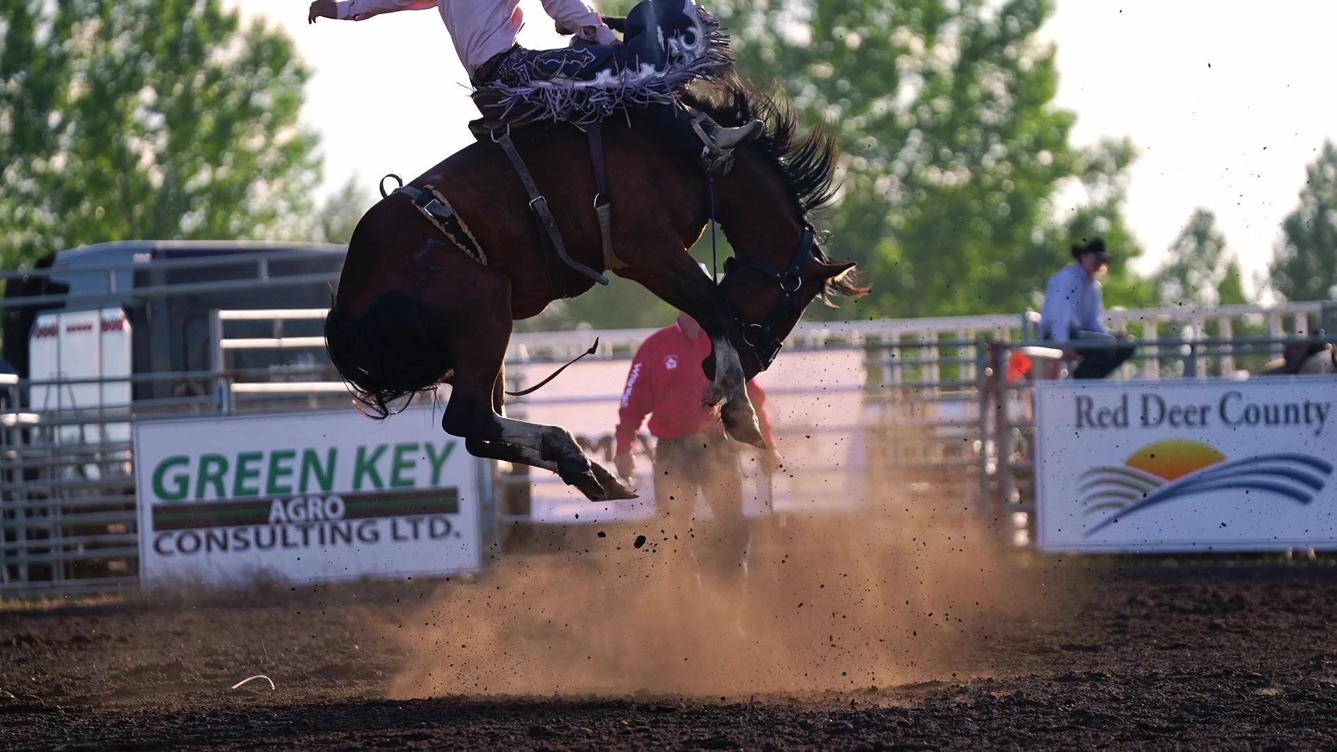 @Hanginghorses