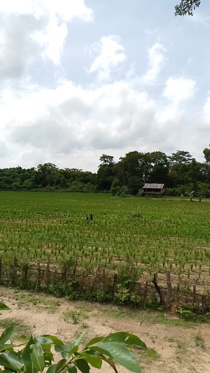 @ยังไม่มีแฟนค้าบโสดค้าบ