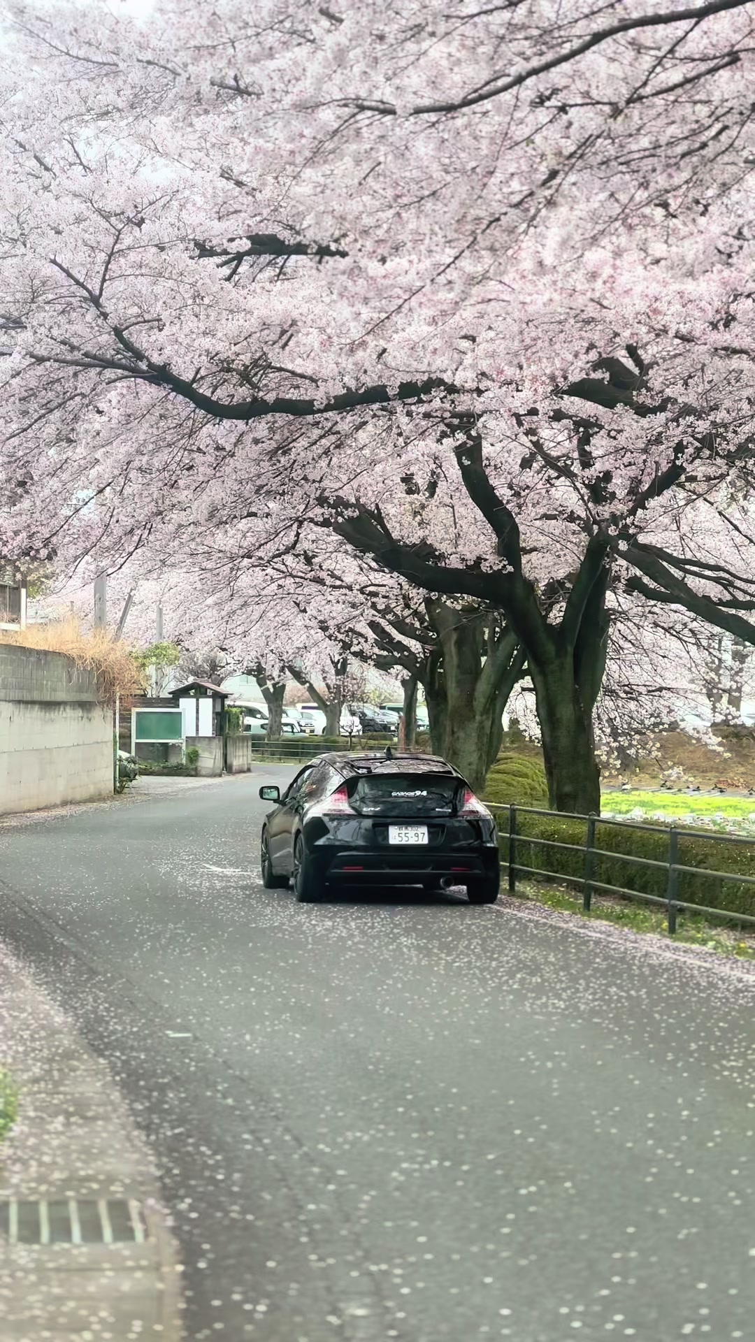 @サジットS14🇯🇵