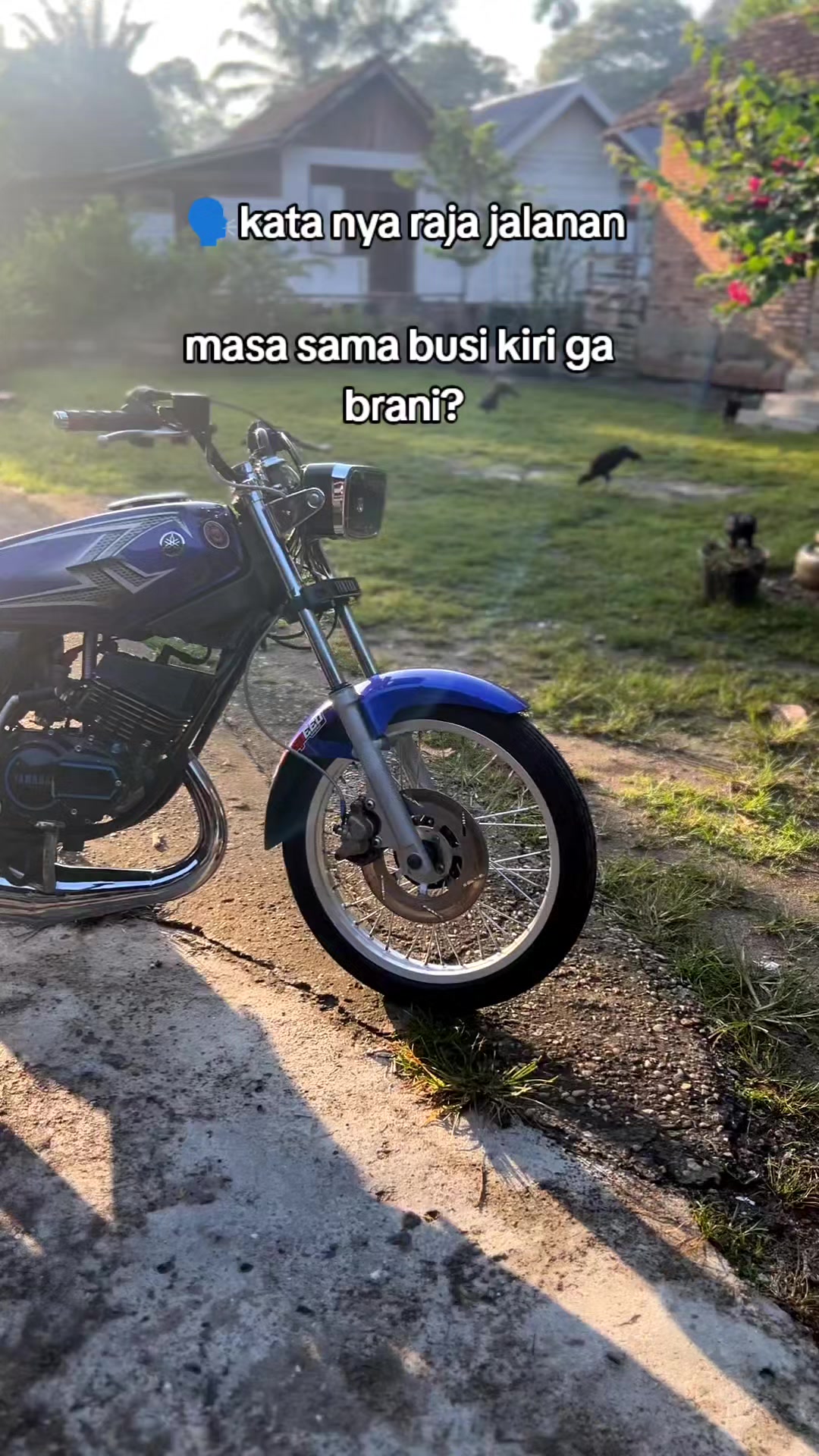 @Ferdi riski