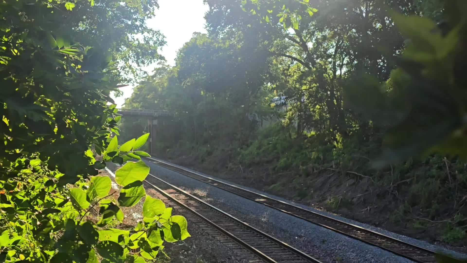@Eastern Iowa by Rails📷🚂🚗
