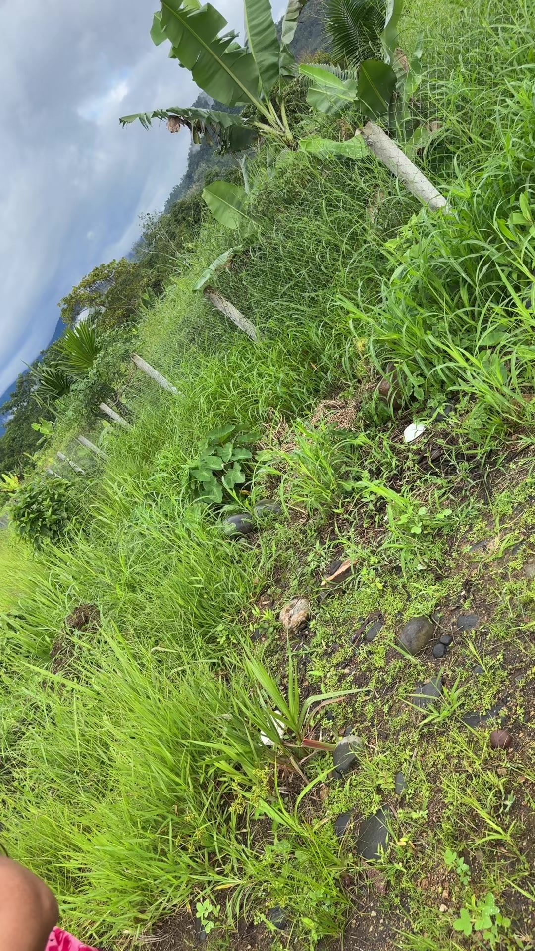 @Valentinaramiross