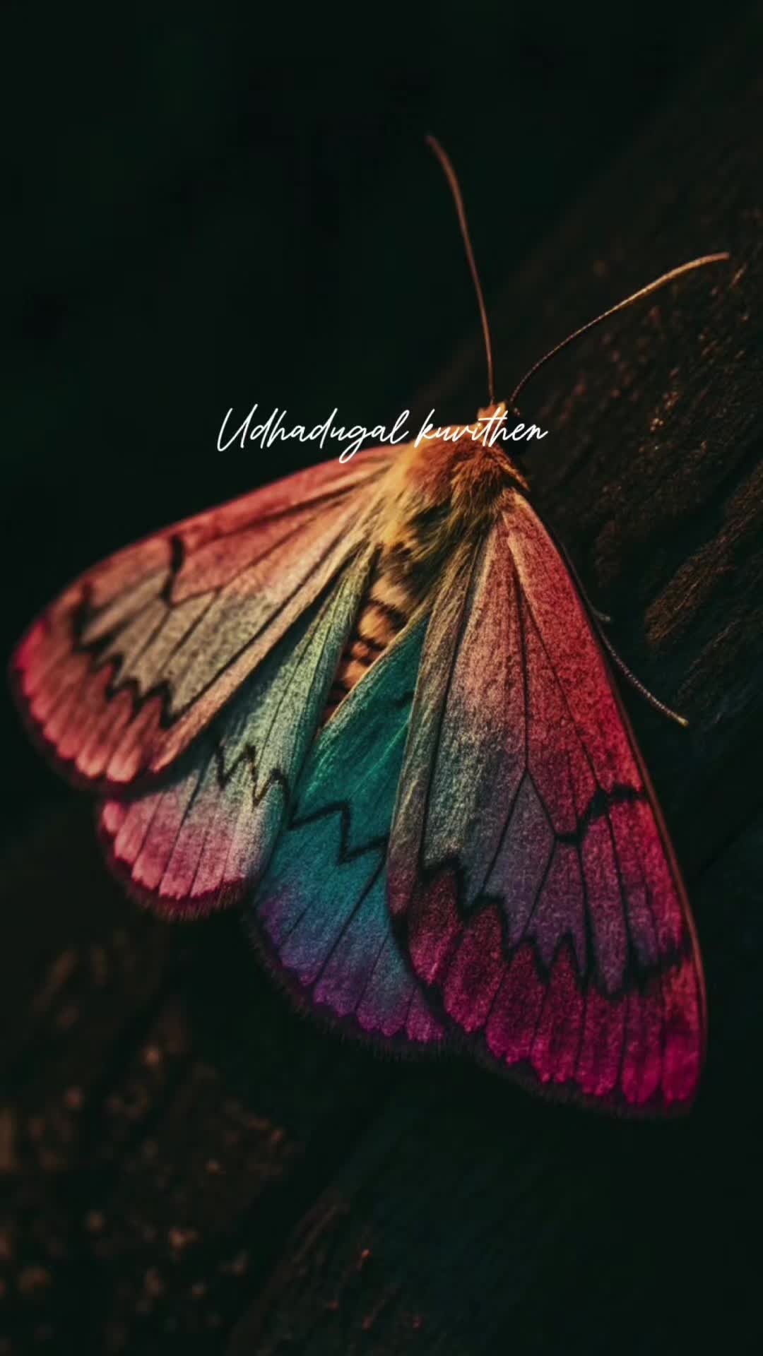 @ꪑꪗꪮ੦ɀỉƙ_ꪗꪖƙ ♪♫♬ 🧬