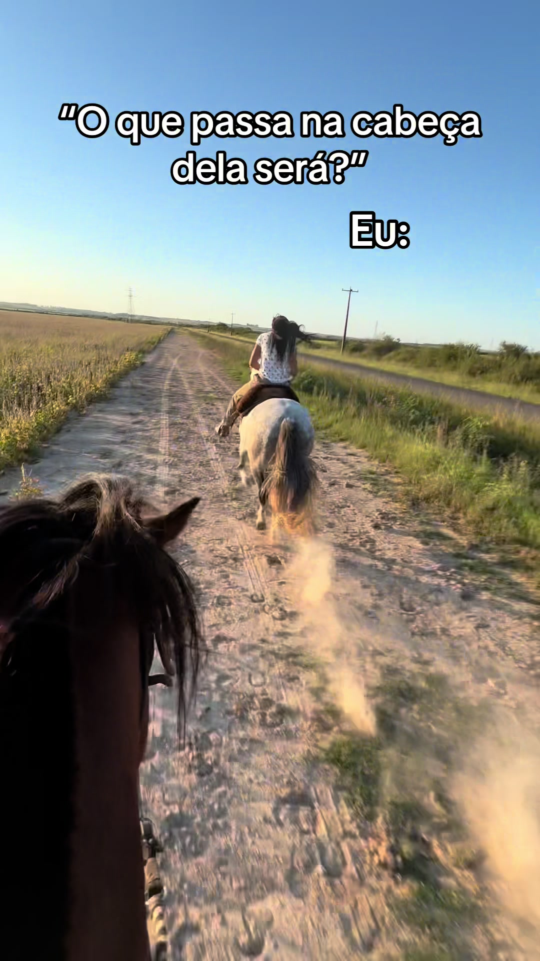@Colorado da Baldez 🤎🐴