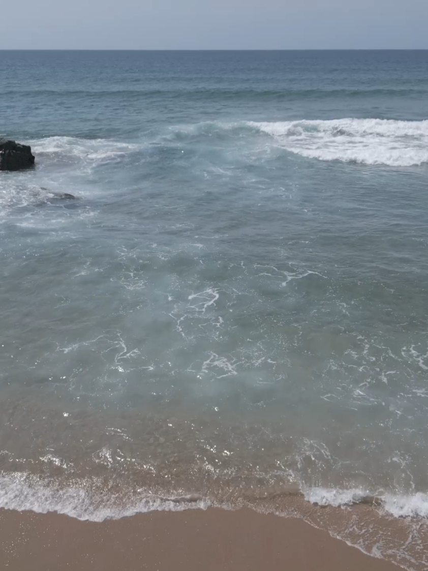 @🌊 Chilliwhip 🌊