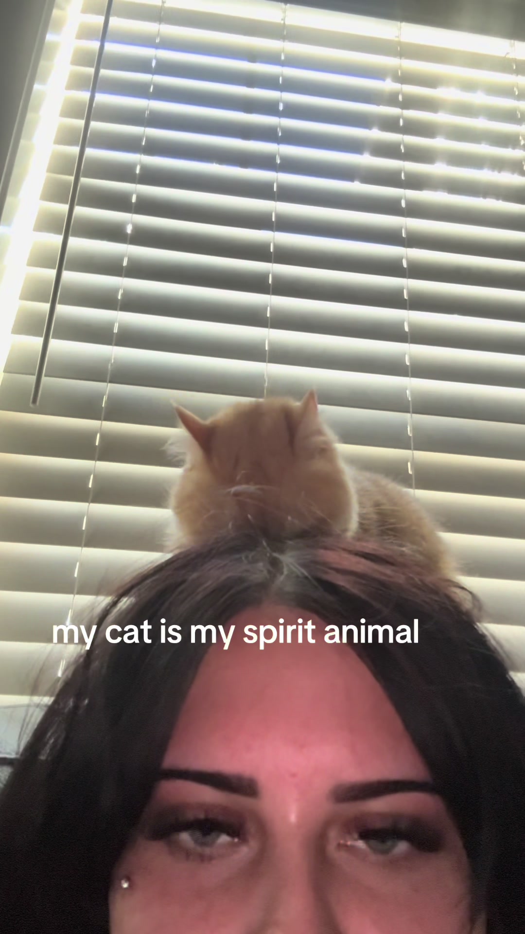 @taylor𓋹