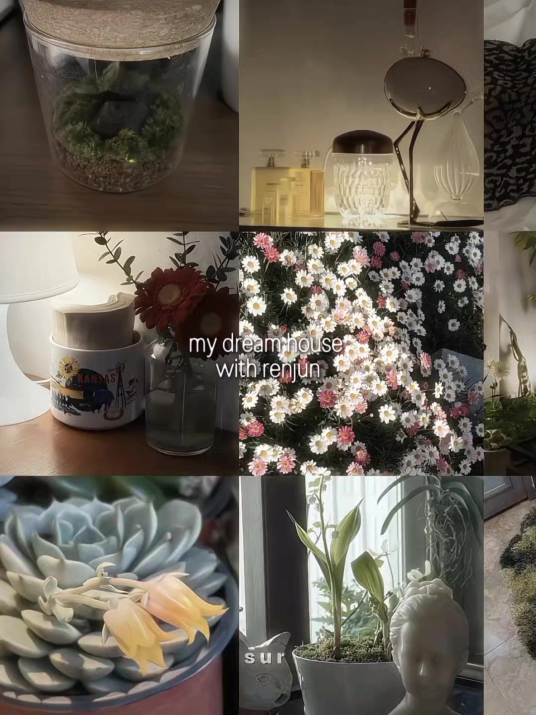 @s u r 🌼
