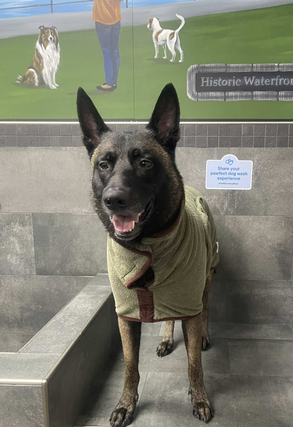@WaveRyder_k9