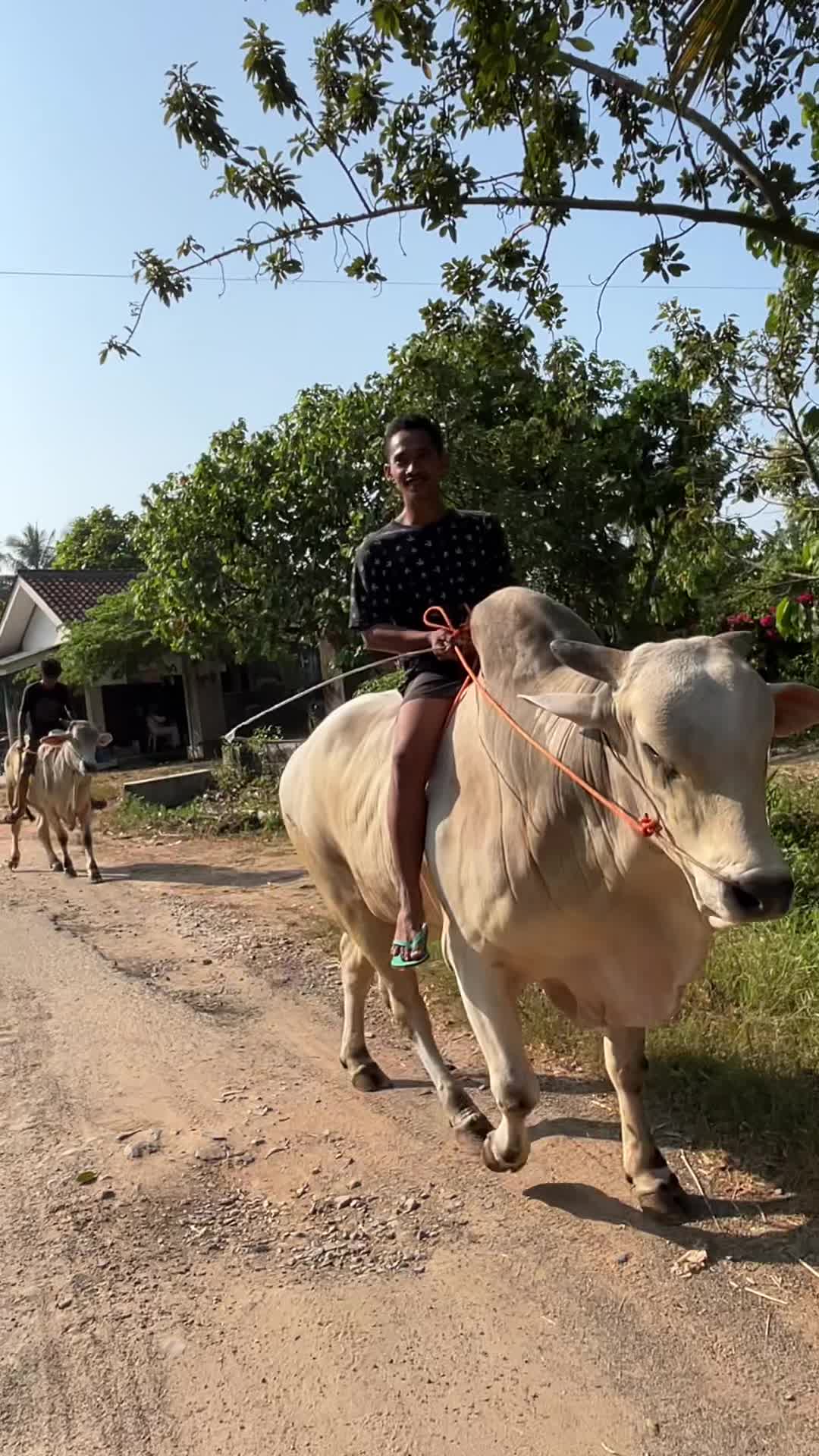 @Wisnu Farm Lampung