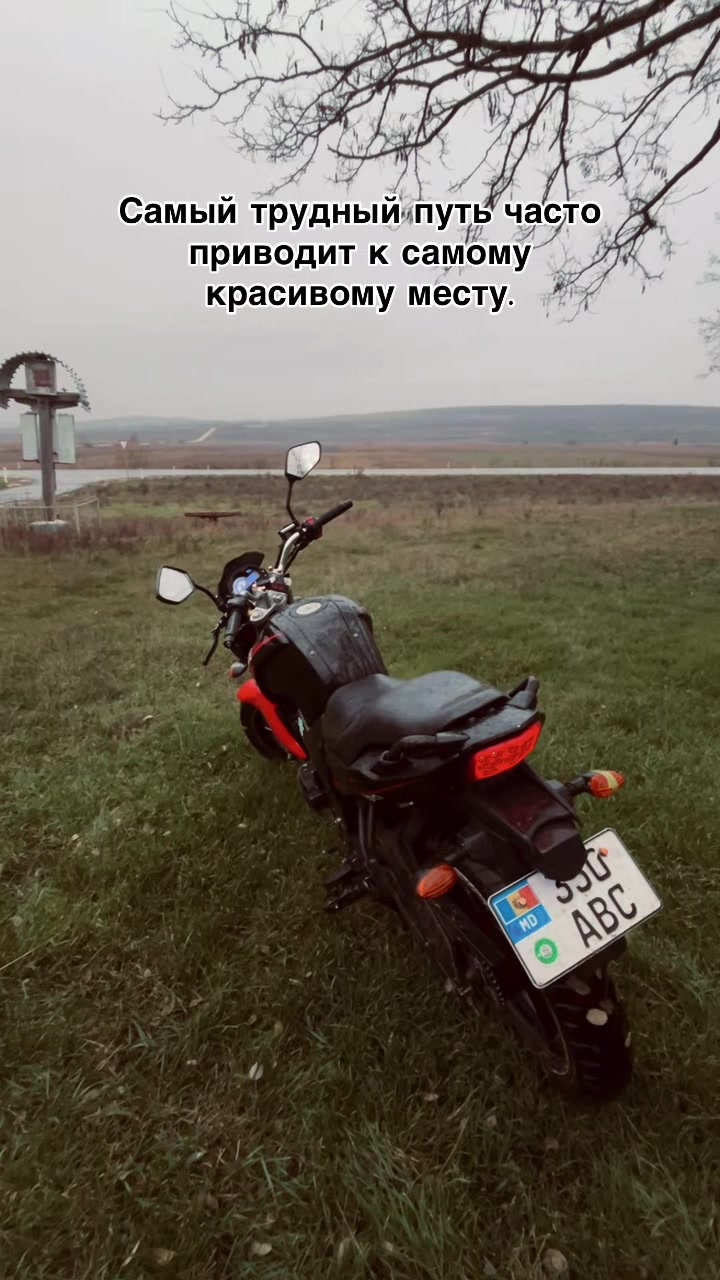 @ѕтʀᴀтυ_ᴊʀ