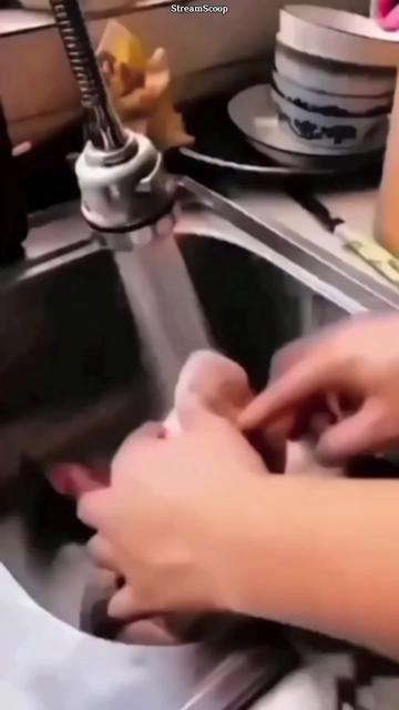 @streamscoop05 | Viral Reels
