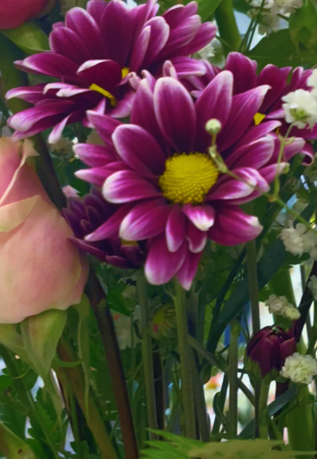 @Nature videos