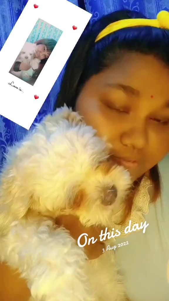 @MALINI MA💜✨💛