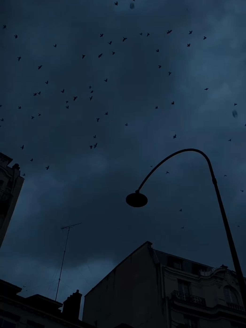 @Dark