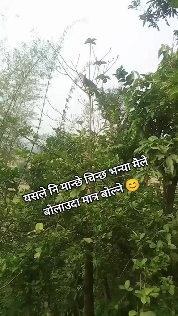@Neyna Poudel