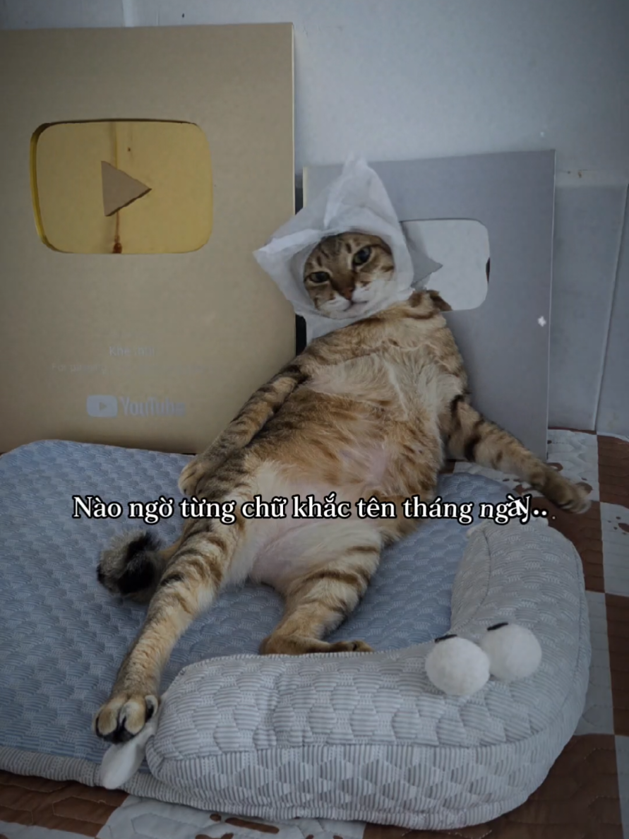 @Khế th&uacute;i