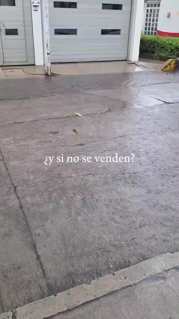 @🇭🇳Santos Gaming💎