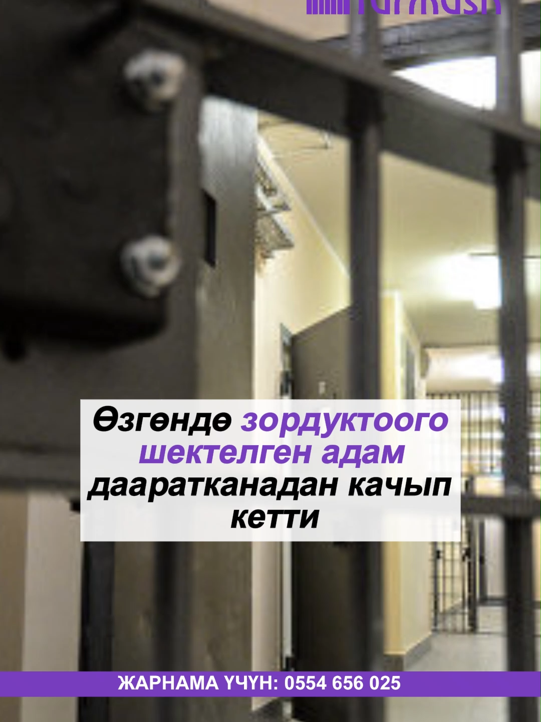 @turmush.kg__