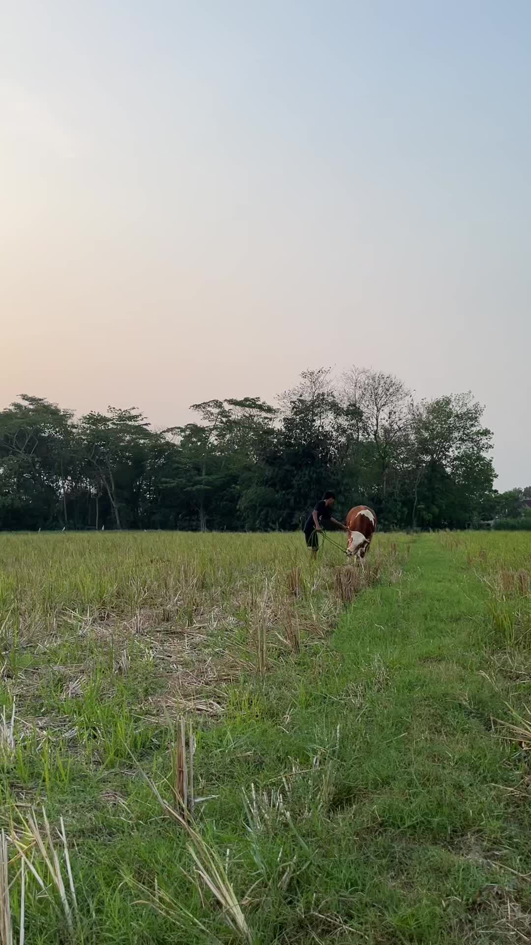 @Wisnu Farm Lampung
