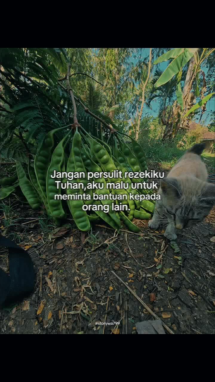 @ARAk_BALI