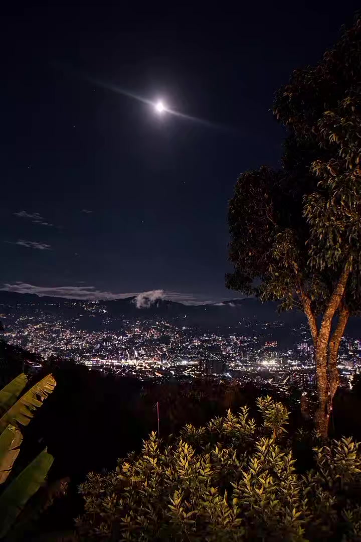@VLEX_music🎵🌑💫