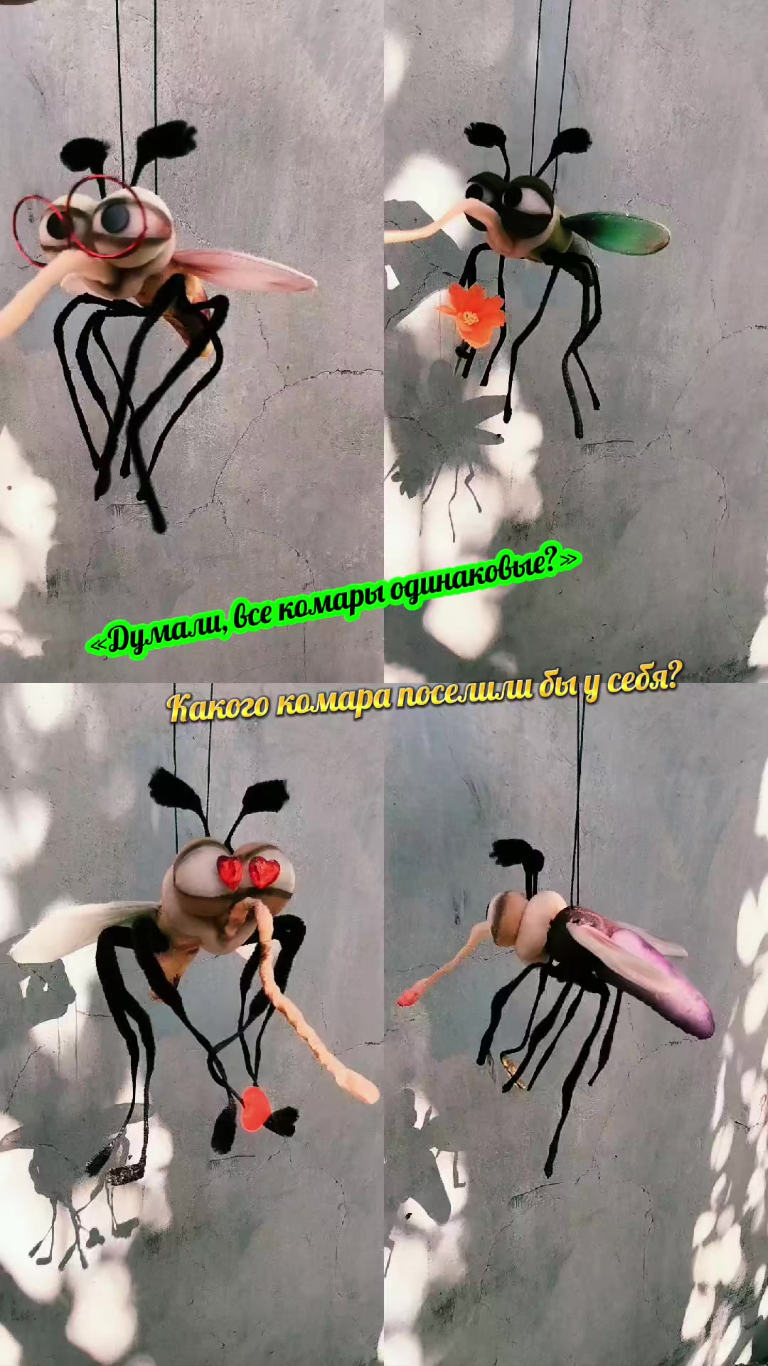 @🪷 Оксана 🪷