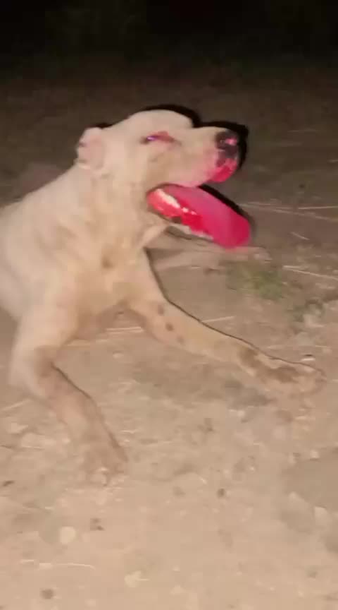 @asd123456