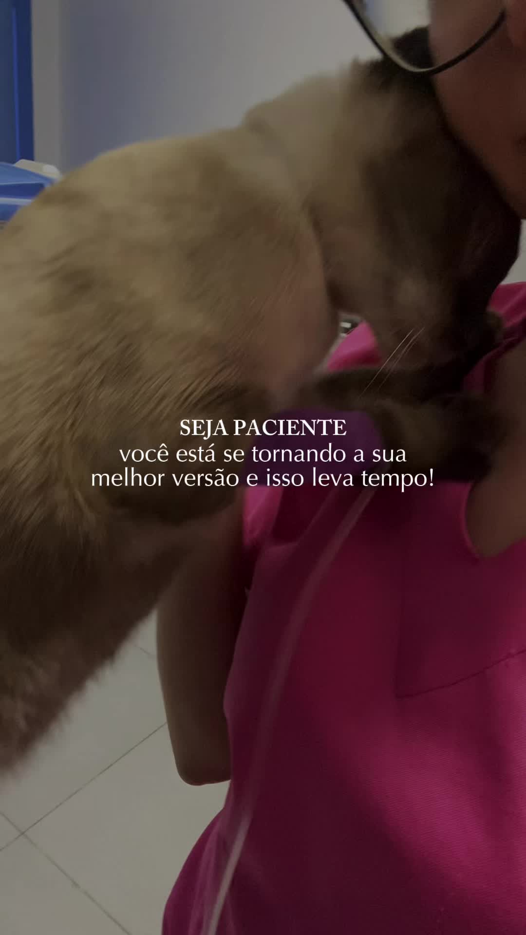 @Justin Beibel